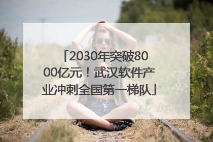 2030年突破8000亿元！武汉软件产业冲刺全国第一梯队