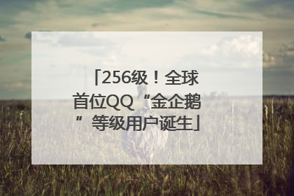 256级！全球首位QQ“金企鹅”等级用户诞生