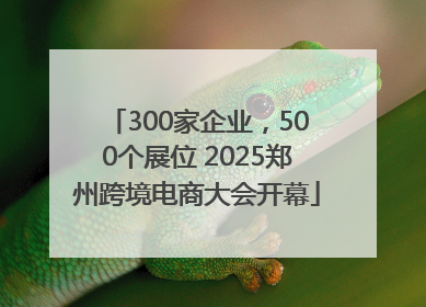 300家企业，500个展位 2025郑州跨境电商大会开幕
