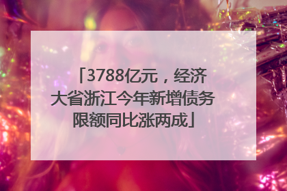3788亿元，经济大省浙江今年新增债务限额同比涨两成