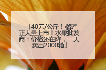 40元/公斤！榴莲正大量上市！水果批发商：价格还在降，一天卖出2000箱