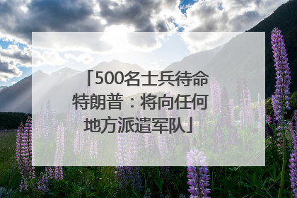500名士兵待命 特朗普：将向任何地方派遣军队