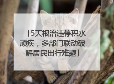 5天根治违停积水顽疾，多部门联动破解居民出行难题