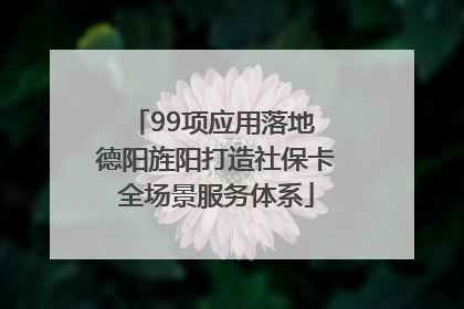 99项应用落地 德阳旌阳打造社保卡全场景服务体系
