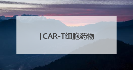 CAR-T细胞药物治疗实体瘤要来了？这款药物申请国内上市