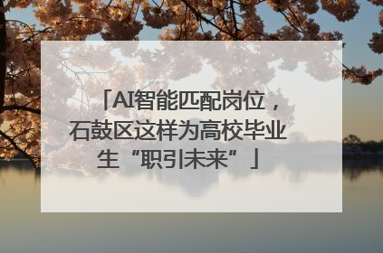 AI智能匹配岗位，石鼓区这样为高校毕业生“职引未来”