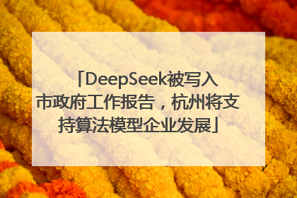 DeepSeek被写入市政府工作报告，杭州将支持算法模型企业发展