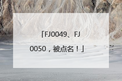 FJ0049、FJ0050，被点名！