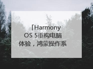 HarmonyOS 5重构电脑体验，鸿蒙操作系统在电脑端首次亮相丨新经济观察