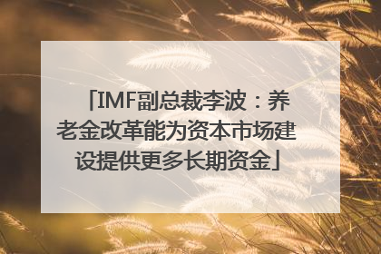 IMF副总裁李波：养老金改革能为资本市场建设提供更多长期资金